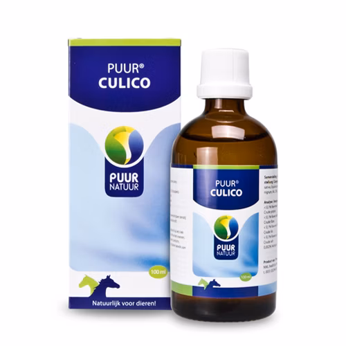 PUUR CULICO 