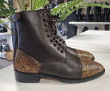 PIONEER CLORI STANDAARD