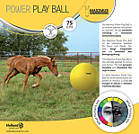 MAXIMUS POWER PLAY BALL