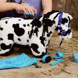 CRAFTY PONIES POETS-SET VERZORGINGSSET 