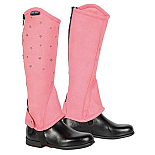 HARRY'S HORSE MINICHAPS YOUNGSTAR ROZE
