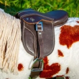 CRAFTY PONIES PREMIUM ZADEL BRUIN