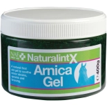 NATURALINTX ARNICA GEL 