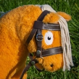 CRAFTY PONIES PREMIUM HOOFDSTEL