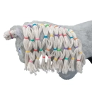 CRAFTY PONIES PAARDEN ELASTIEKJES GEKLEURD