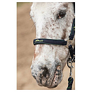 HH HALSTERSET STOUT! LIME NAVY