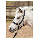 HH HALSTERSET STOUT! LIME NAVY