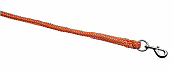 HALSTERTOUW ESKADRON