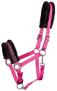 HARRY´S HORSE LYRICS QUOTES FUCHSIA