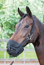 HARRY'S HORSE GRAASMASKER 