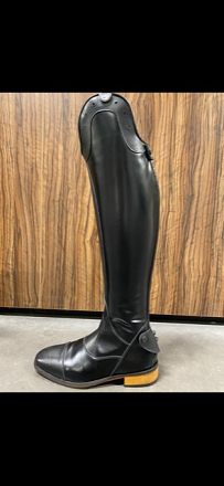 PIONEER HORSELINE PERSEFONE