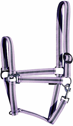 Harry's Horse Halster Economy 