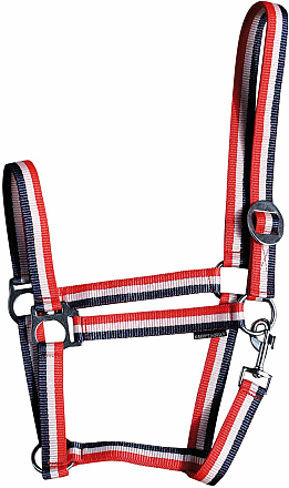 Harry's Horse Halster Economy 