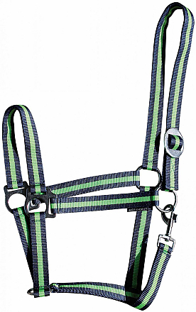 Harry's Horse Halster Economy 