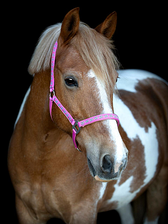 EQ BUTTERFLY HALSTER ROZE