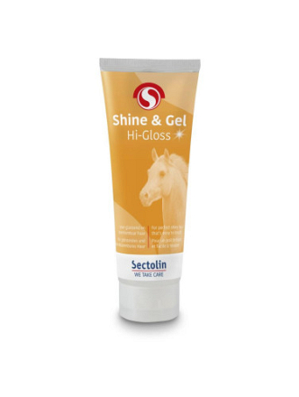 SECTOLIN SHINE & GEL ANTI KLIT