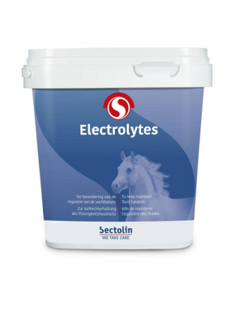 SECTOLIN ELECTROLYTEN 1 KG