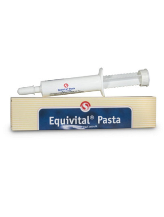 SECTOLIN EQUIVITAL VITAMINEN PASTA