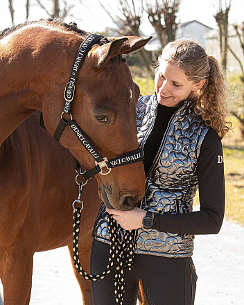 HARRY'S HORSE HALTERSET DENICI CAVALLI STARDUST ZWART