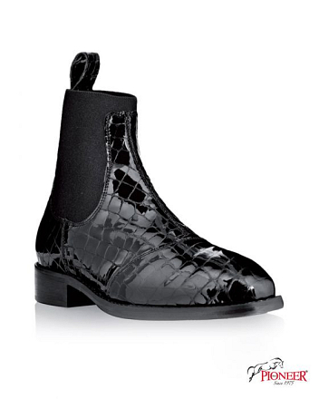 PIONEER JODHPUR SATURNO