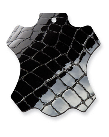 PIONEER JODHPUR SATURNO