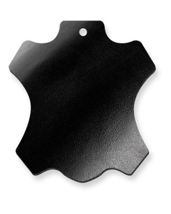 PIONEER JODHPUR MINERVA