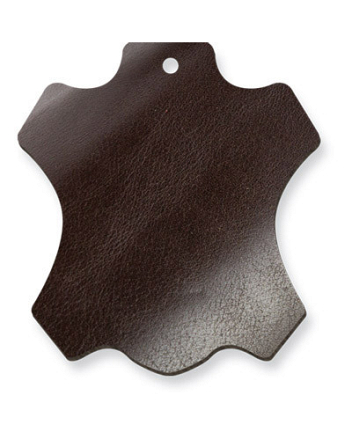 PIONEER JODHPUR MINERVA