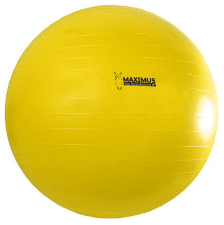 MAXIMUS POWER PLAY BALL
