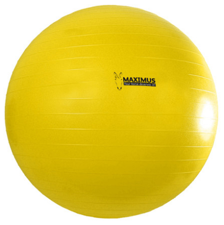MAXIMUS POWER PLAY BALL