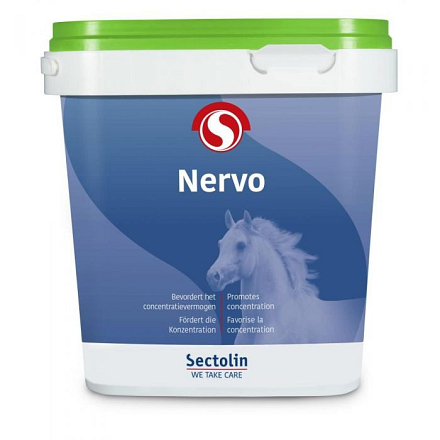 SECTOLIN EQUIVITAL NERVO 1 KG