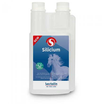 SECTOLIN SILICIUM 1 LTR