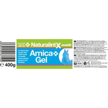 NATURALINTX ARNICA GEL 