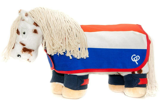 CRAFTY PONIES NATIONALE WEDSTRIJDSET