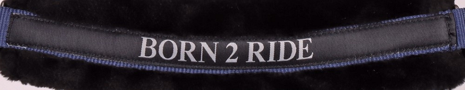 HARRY´S HORSE LYRICS QUOTES NAVY