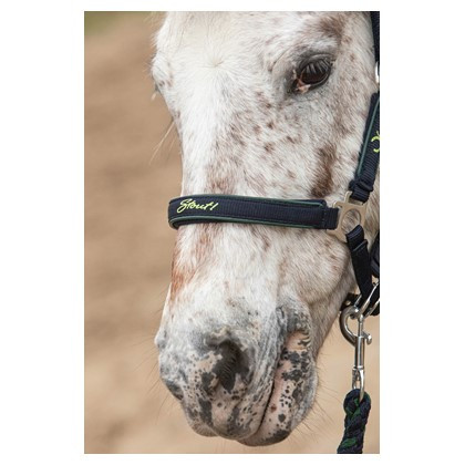 HH HALSTERSET STOUT! LIME NAVY