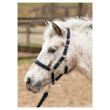 HH HALSTERSET STOUT! LIME NAVY