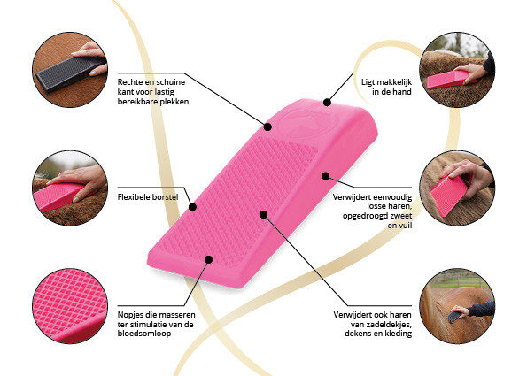 EXCELLENT HORSE GROOMING BORSTEL