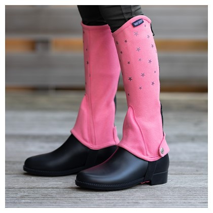 HARRY'S HORSE MINICHAPS YOUNGSTAR ROZE