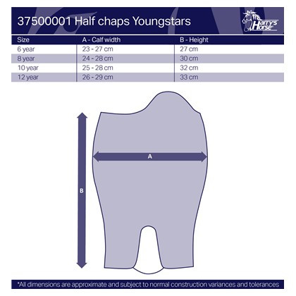 HARRY'S HORSE MINICHAPS YOUNGSTAR ROZE