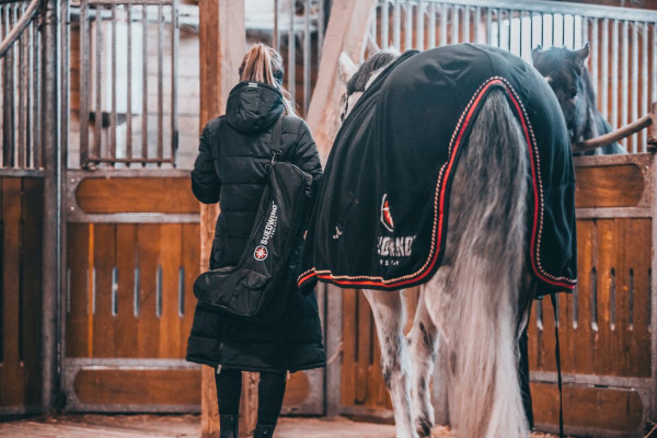 SUEDWIND LAARZENTAS HOOG