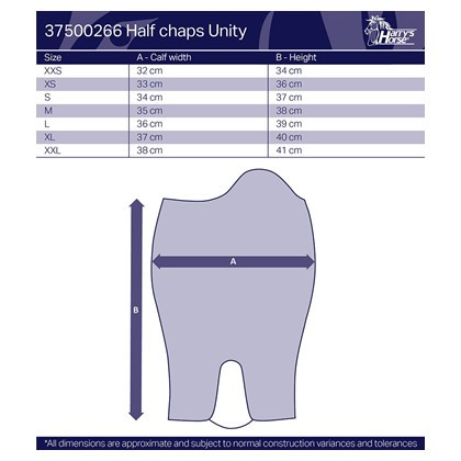 HARRY'S HORSE MINICHAPS UNITY 