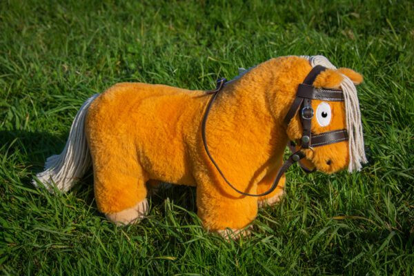 CRAFTY PONIES PREMIUM HOOFDSTEL