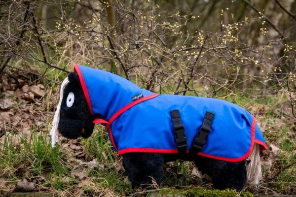 CRAFTY PONIES BUITENDEKEN 